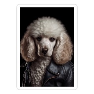 DOG Clothes - Small Dog Coat Black Biker Jacket | Fashion Houndz